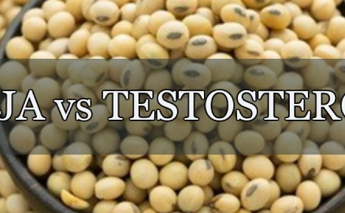 Sója a testosteron. Jaká dávka vám neuškodí?
