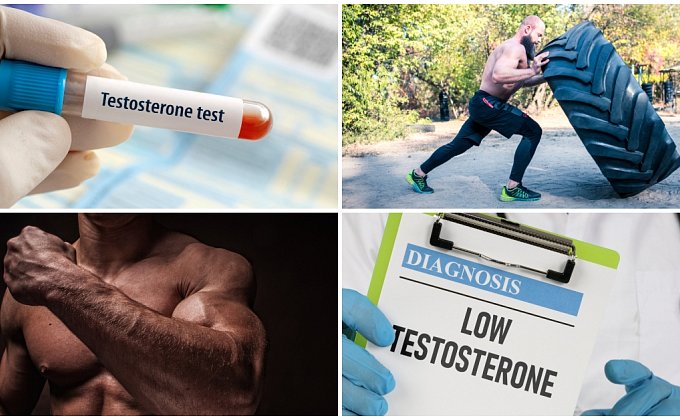 Ako naturálne zvýšiť hladinu testosterónu?