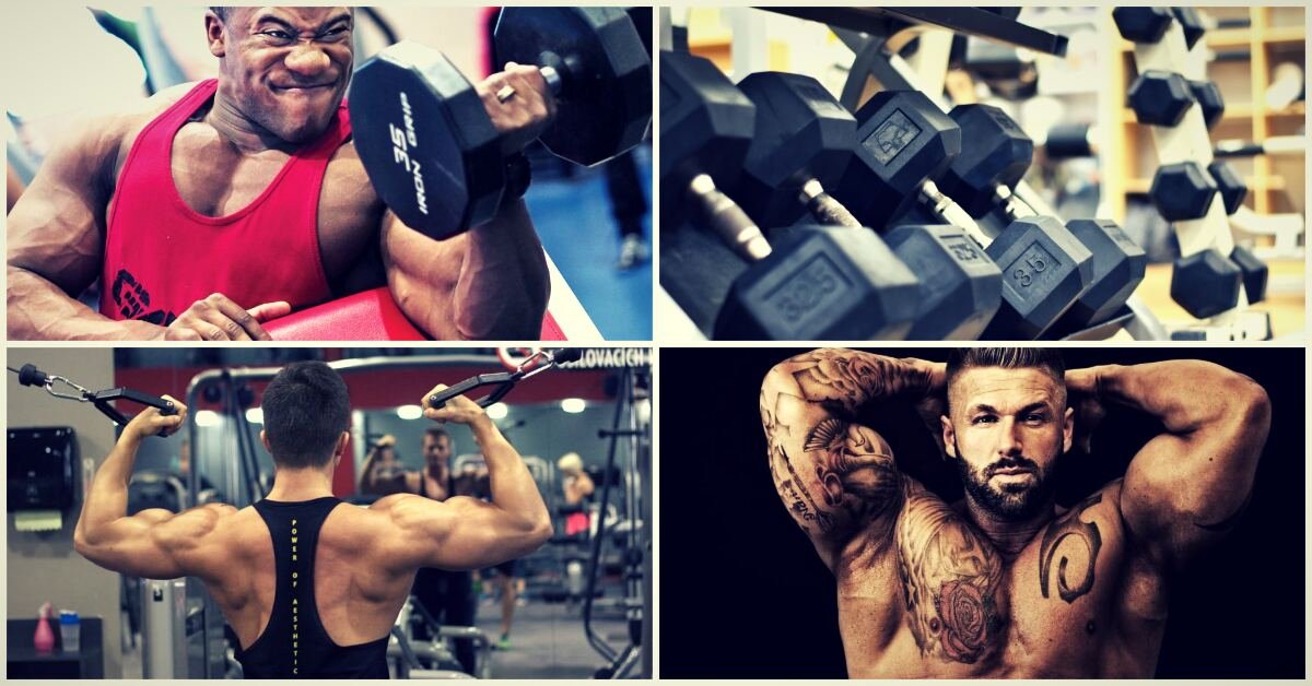 5 tipov pre väčšie bicepsy, aké cviky vám zaručene pomôžu?