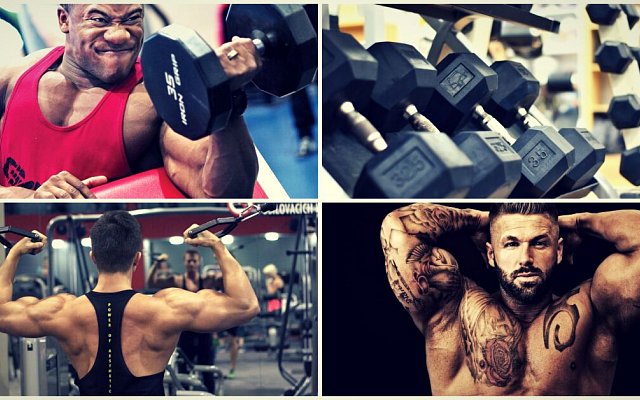 5 tipů pro větší bicepsy: Jaké cviky vám zaručeně pomohou?