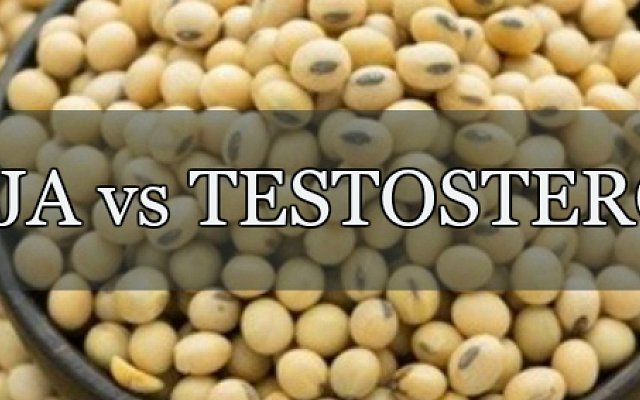 Sója a testosteron. Jaká dávka vám neuškodí?