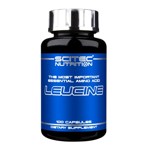 Leucine - Scitec