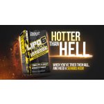 Lipo 6 Black Intense Ultra Concentrate - Nutrex