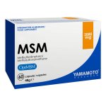 MSM - Yamamoto