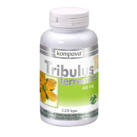 Tribulus terrestris - Kompava