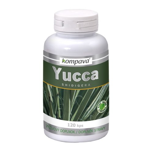 Yucca Shidigera - Kompava